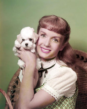 This is an image of Premium Photograph & Poster of Debbie Reynolds 294157