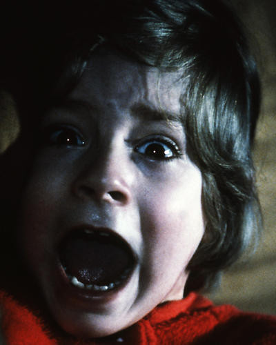 This is an image of Photograph & Poster of The Shining 296592