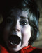 This is an image of Photograph & Poster of The Shining 296592
