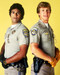 This is an image of Photograph & Poster of Chips 296601