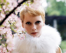This is an image of Photograph & Poster of Mia Farrow 296607