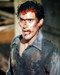 This is an image of Photograph & Poster of Evil Dead 2 296622