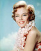This is an image of Premium Photograph & Poster of Sheree North 294458