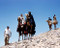 This is an image of Premium Photograph & Poster of Lawrence of Arabia 294515