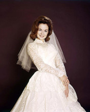 This is an image of Premium Photograph & Poster of Shelley Fabares 294738