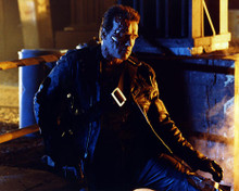 This is an image of Photograph & Poster of Terminator 2: Judgment Day 294351