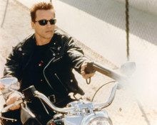 This is an image of Photograph & Poster of Terminator 2: Judgment Day 294355