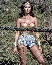 This is an image of Photograph & Poster of Lynda Carter 295899
