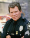 This is an image of Photograph & Poster of William Shatner 295911