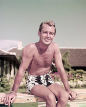 This is an image of Premium Photograph & Poster of Alan Ladd 296635