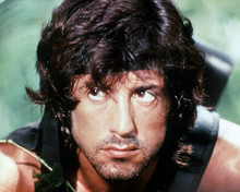 This is an image of Premium Photograph & Poster of Sylvester Stallone 296645