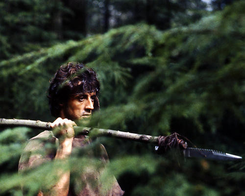 This is an image of Photograph & Poster of Sylvester Stallone 296660
