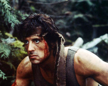 This is an image of Photograph & Poster of Sylvester Stallone 296662