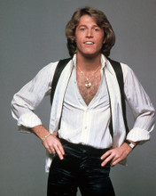 This is an image of Photograph & Poster of Andy Gibb 296677