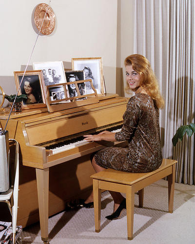 This is an image of Photograph & Poster of Ann-Margret 296678