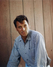 This is an image of Photograph & Poster of Rock Hudson 296718