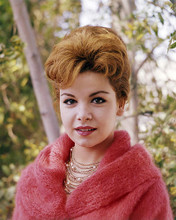 This is an image of Photograph & Poster of Annette Funicello 296732