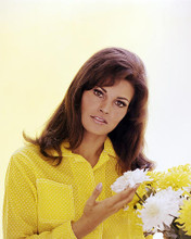 This is an image of Photograph & Poster of Raquel Welch 296736