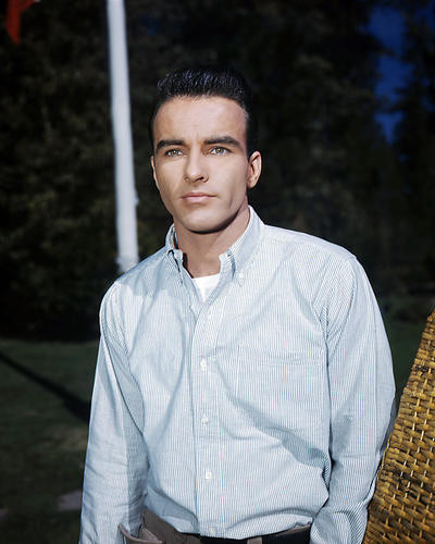 This is an image of Premium Photograph & Poster of Montgomery Clift 294860