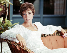 This is an image of Premium Photograph & Poster of Julie Andrews 294861