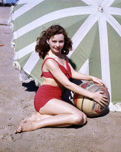 This is an image of Premium Photograph & Poster of Jeanne Crain 294867