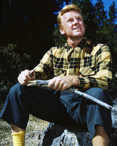 This is an image of Photograph & Poster of Van Johnson 294873