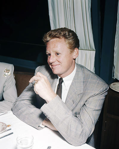 This is an image of Photograph & Poster of Van Johnson 294874