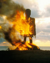 This is an image of Photograph & Poster of The Wicker Man 295437