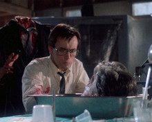 This is an image of Photograph & Poster of Re-Animator 295463