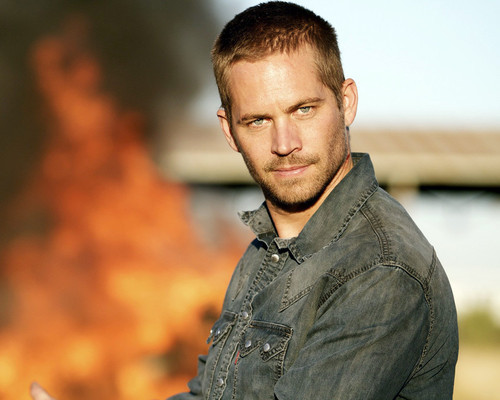 This is an image of Photograph & Poster of Paul Walker 295397