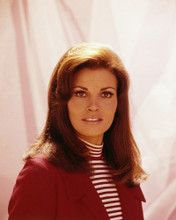 This is an image of Photograph & Poster of Raquel Welch 295919