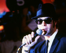 This is an image of Premium Photograph & Poster of The Blues Brothers 295611