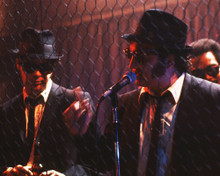 This is an image of Photograph & Poster of The Blues Brothers 295958