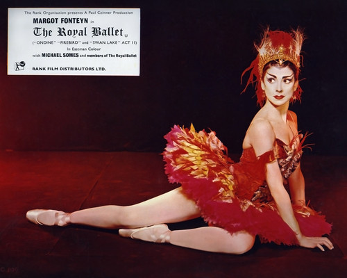 This is an image of Photograph & Poster of Margot Fonteyn 296097