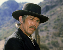 This is an image of Photograph & Poster of James Coburn 295714