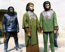 This is an image of Photograph & Poster of Planet of the Apes 295732