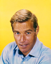 This is an image of Photograph & Poster of James Franciscus 296828