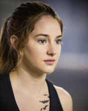 This is an image of Photograph & Poster of Shailene Woodley 295998