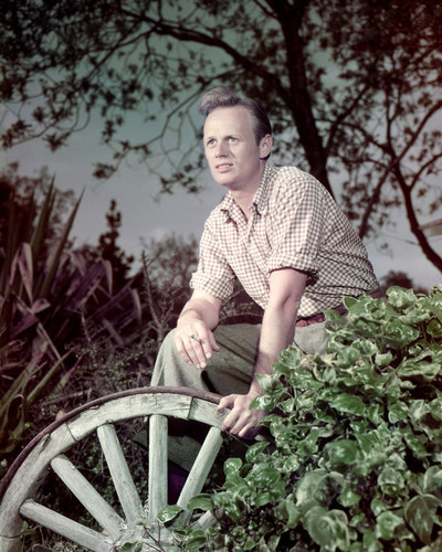 This is an image of Premium Photograph & Poster of Richard Widmark 297255