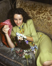 This is an image of Premium Photograph & Poster of Elizabeth Taylor 297256