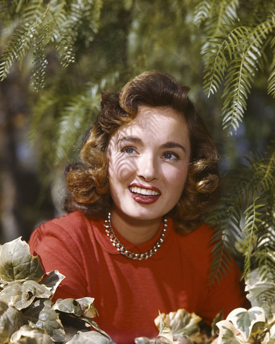 This is an image of Premium Photograph & Poster of Donna Reed 297266