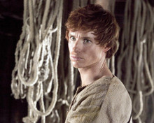 This is an image of Photograph & Poster of Eddie Redmayne 296150