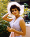 This is an image of Premium Photograph & Poster of Sophia Loren 297462