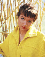 This is an image of Premium Photograph & Poster of Shirley Maclaine 297470