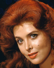 This is an image of Premium Photograph & Poster of Tina Louise 297476