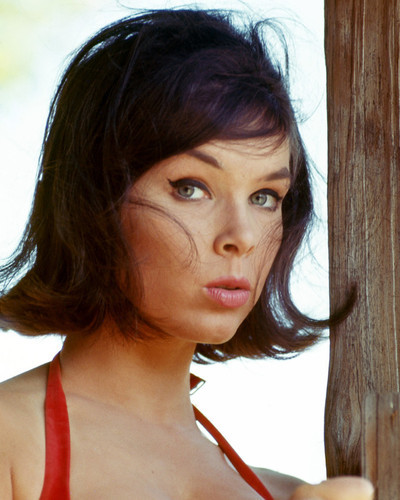 This is an image of Premium Photograph & Poster of Yvonne Craig 297481