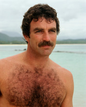 This is an image of Photograph & Poster of Tom Selleck 297617