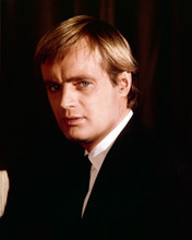 This is an image of Photograph & Poster of David McCallum 297780
