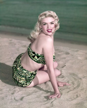 This is an image of Premium Photograph & Poster of Jayne Mansfield 297791
