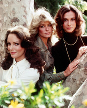 This is an image of Premium Photograph & Poster of Charlies Angels 297793